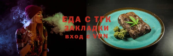 индика Абаза