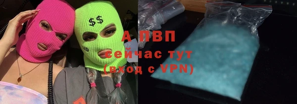 индика Абаза