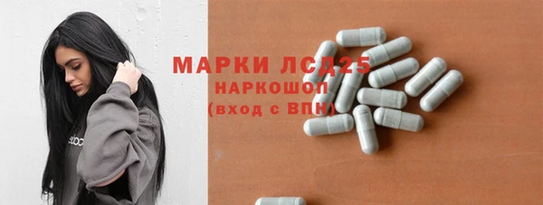индика Абаза
