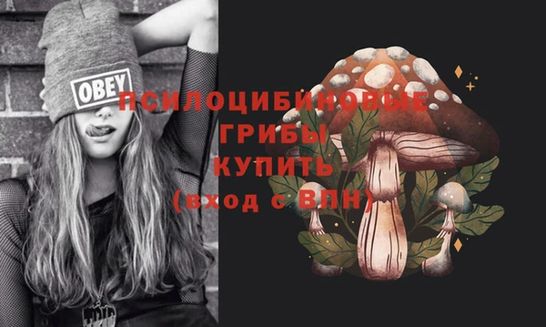 экстази Приозерск