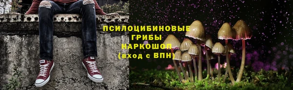 марки lsd Дмитриев