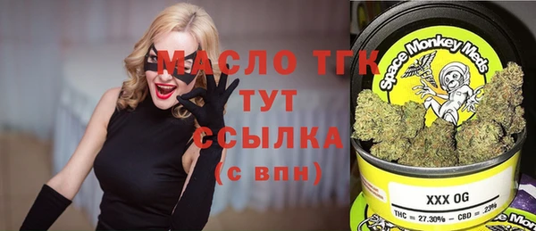 индика Абаза