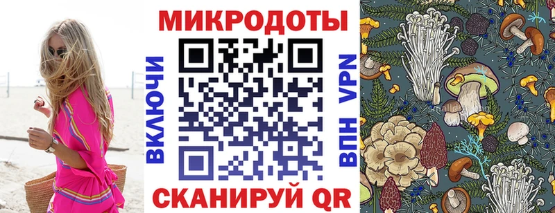 где продают наркотики ОМГ ОМГ рабочий сайт Галлюциногенные грибы мицелий Дивногорск
