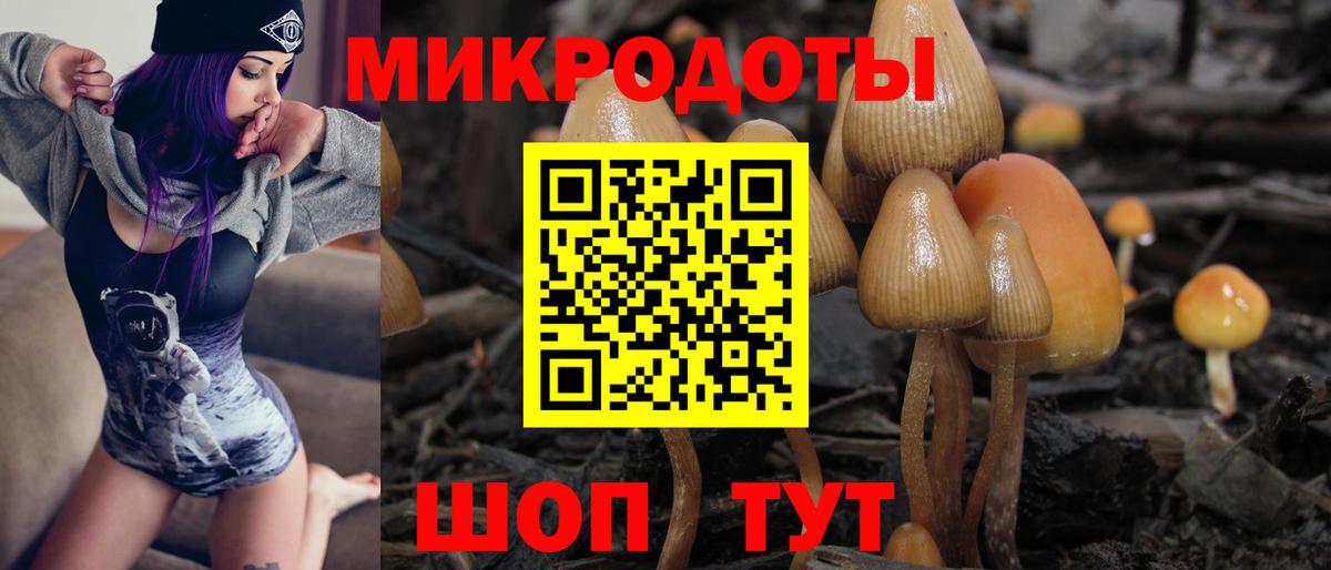Дивногорск  Галлюциногенные грибы прущие грибы  Вход с VPN 